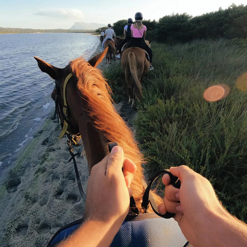 Bevestigingsband vooraan 2.0