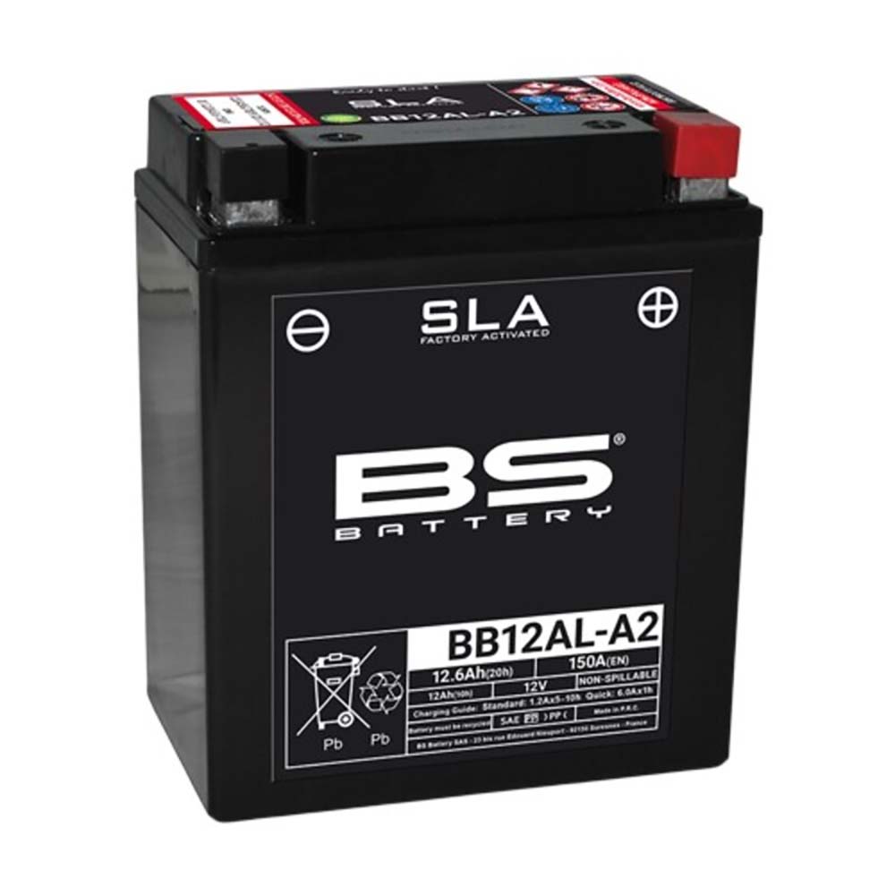 BB12AL-A2 SLA batterij