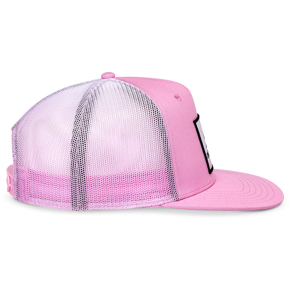 Cali Gradient-pet