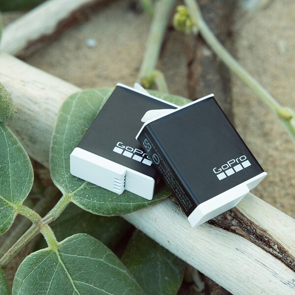 Set van 2 oplaadbare Enduro-batterijen