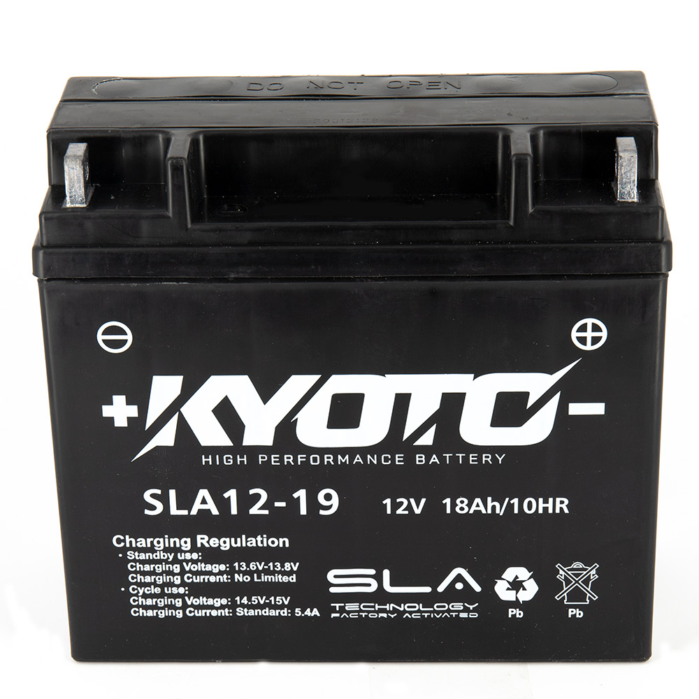 Batterij SLA12-19