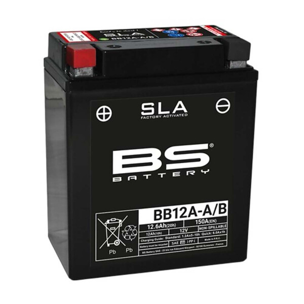 BS 12A/B SLA batterij