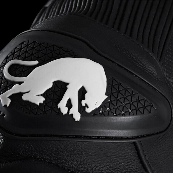 Raptor Evo 3 Jas