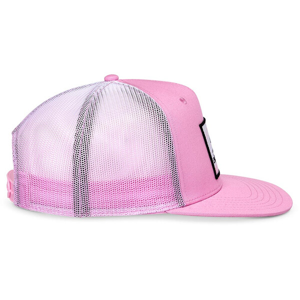 Cali Gradient-pet