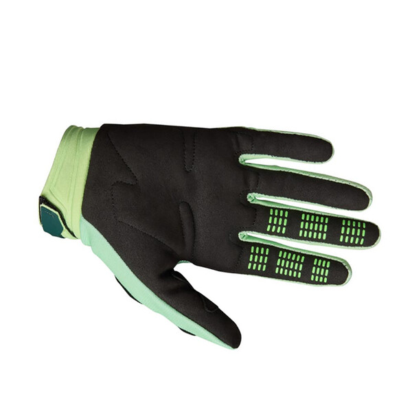 Handschoenen 180 Raid
