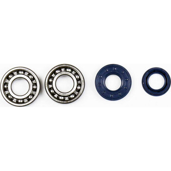 Set lagers en olietussenringen voor krukas P400130444001 Athena