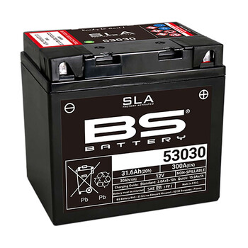 53030 SLA-batterij BS Battery