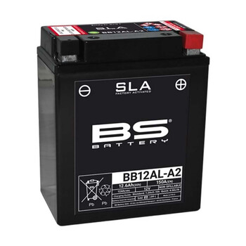 BB12AL-A2 SLA batterij BS Battery