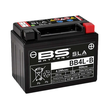 BS SLA batterij BS Battery