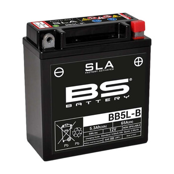 BS SLA batterij BS Battery