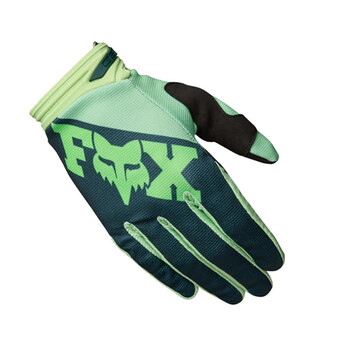 Handschoenen 180 Raid Fox