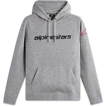 Linear Wordmark V3 hoody Alpinestars