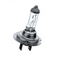 Lamp H7 12V55W