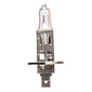 Lamp H1 OP62200
