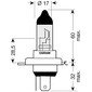Lamp H4 OP64193-01B