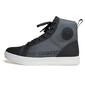 Curtis trainers