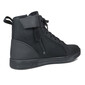 Curtis trainers