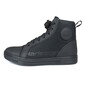 Curtis trainers