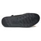 Curtis trainers