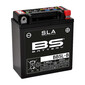 BS SLA batterij