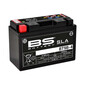 BT9B-4 SLA-batterij