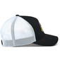 Aorbit Trucker pet
