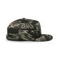 Extol dop