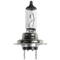 H7 halogeen koplamplamp - LA48