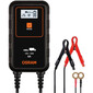 Acculader voor auto 's/vrachtwagens 12V/24V 8A