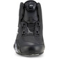 Celer-trainers