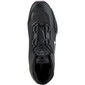 Celer-trainers