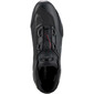 Celer-trainers