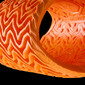 Full Back Fury D3O® Evo rugbrace