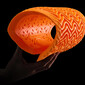 Full Back Fury D3O® Evo rugbrace