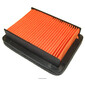 Luchtfilter 98T433