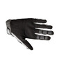 Pawtector handschoenen
