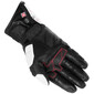 Aravis Primaloft® 37.5® Handschoenen