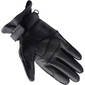 Condor Evo handschoenen