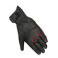 Pitts handschoenen