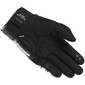 Galax Evo handschoenen
