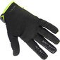 Handschoenen - 2024