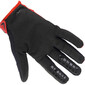 Handschoenen - 2024