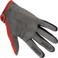 Handschoenen omhoog