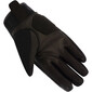 Lady Fletcher Evo-dameshandschoenen