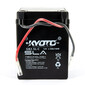 GB2.5L-C SLA AGM-batterij
