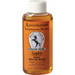 Black Stallion Oil