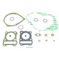 Motorpakking VG393