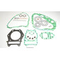 Motorpakking VG3030