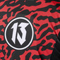 Dertien jersey