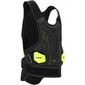DNA Stone Guard niveau 2